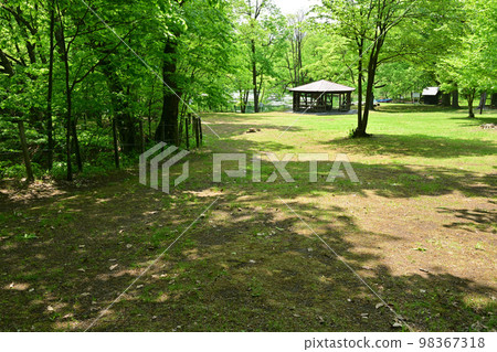 新綠鳥沼公園 新綠鳥沼公園 98367318