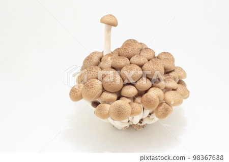 brown shimeji mushroom with plastic package 98367688