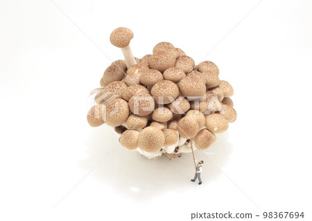 a Farmer figure collect brown shimeji Mushroom 98367694