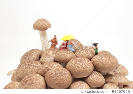 a rain day with brown shimeji Mushroom 98367699