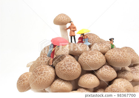 a rain day with brown shimeji Mushroom 98367700