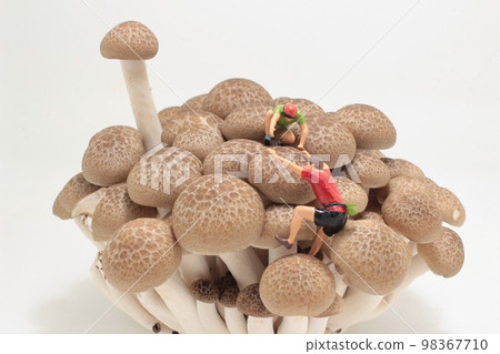 a figure climbing on a brown shimeji Mushroom 98367710