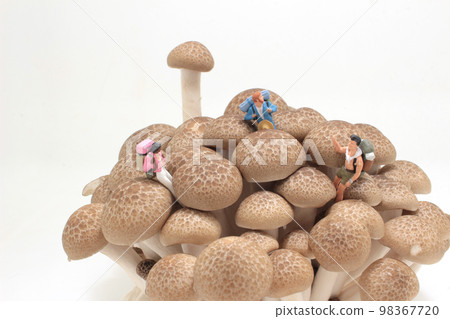 a tourist with a backpack on brown shimeji Mushroom 98367720