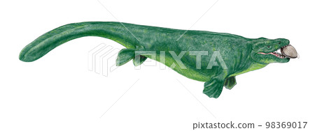 愛海蜥蜴 Golbidens alabamaensis 98369017