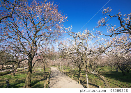 偕樂園 偕樂園 98369228