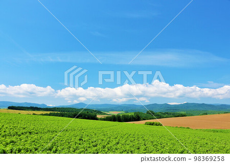 北海道夏天藍天和Biei風景 98369258