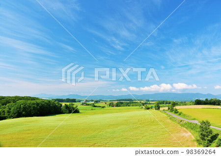 Hokkaido summer blue sky and Biei landscape 98369264