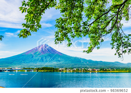 夏季河口湖和富士山 98369652