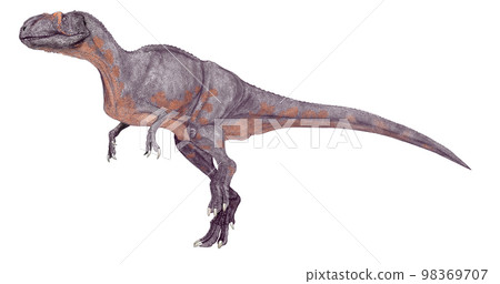 四川陽川龍的晚侏羅世暴龍 98369707