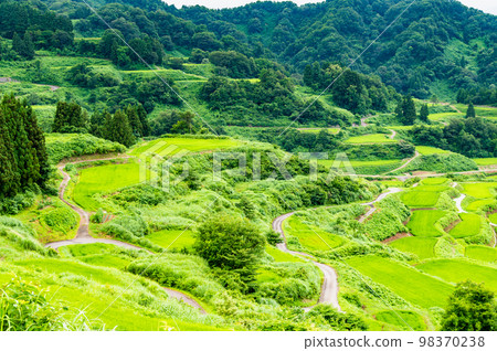 新潟縣星峠梯田～夏天～ 98370238