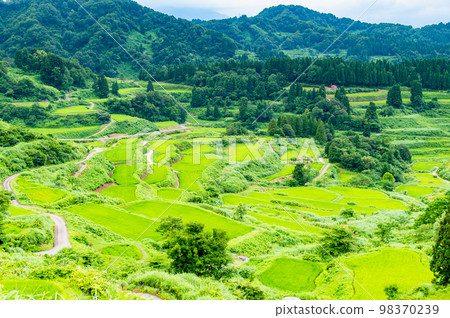 新潟縣星峠梯田~夏天~ 新潟縣星峠梯田~夏天~ 98370239
