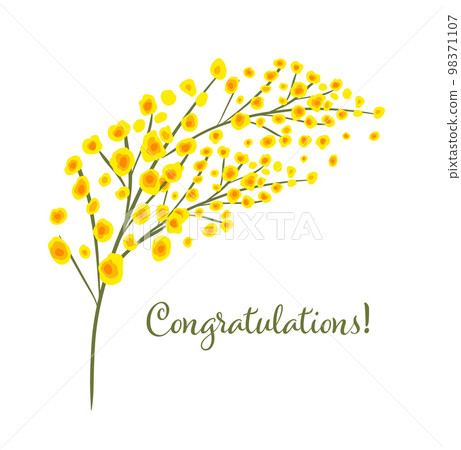 Mimosa twig. Congratulations. Vector illustration. March 8, Mother's Day, Easter. 98371107