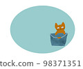cat in a bucket 98371351