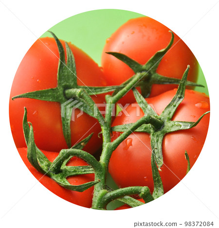 Fresh, tasty, tomato, all organic tomato, fresh organic tomato 98372084