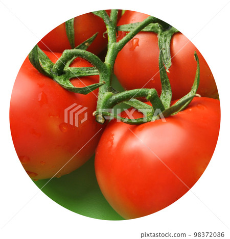 Fresh, tasty, tomato, all organic tomato, fresh organic tomato 98372086