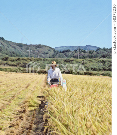 水稻收割田園風光 98372230