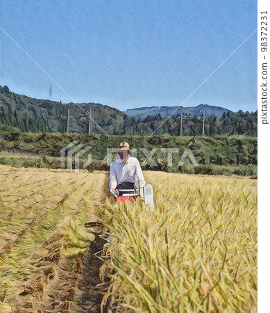 水稻收割田園風光 98372231