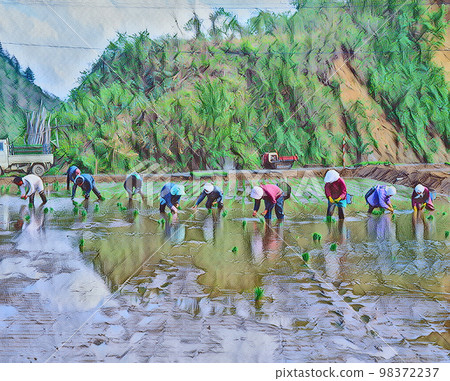 Hand-planted rice planting scenery - Stock Illustration [98372237] - PIXTA