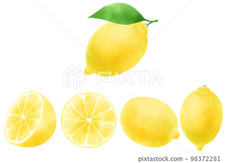 Lemon illustration set expressed in watercolor Lemon illustration set expressed in watercolor 98372281