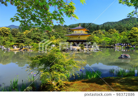 [Kyoto Prefecture] Kinkakuji (Rokuonji) in the fresh greenery 98372886