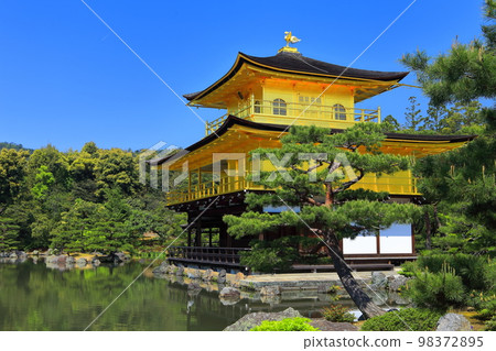 [京都府]初夏的金閣寺（六園寺） 98372895