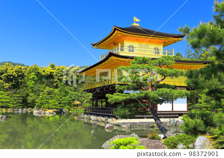 [京都府]初夏的金閣寺（六園寺） 98372901