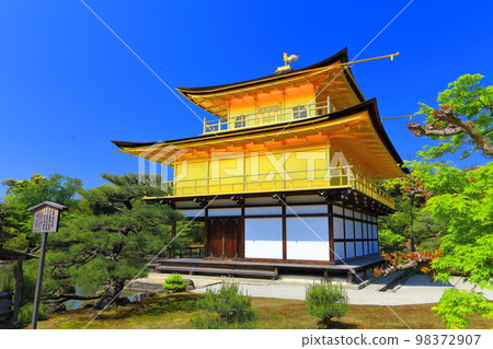 [京都府]初夏的金閣寺（六園寺） 98372907