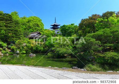 [京都府] 萬綠北庭園和五層塔（仁和寺） 98372908