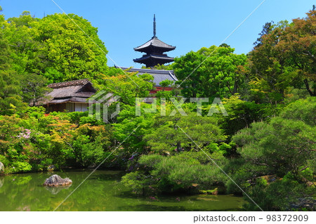 [京都府] 萬綠北庭園和五層塔（仁和寺） 98372909