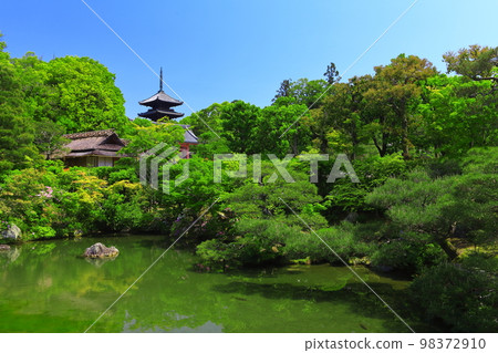 [Kyoto Prefecture] Banryoku North Garden and Five-storied Pagoda (Ninna-ji Temple) 98372910