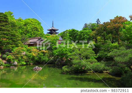 [Kyoto Prefecture] Banryoku North Garden and Five-storied Pagoda (Ninna-ji Temple) 98372911