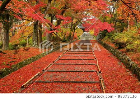 Anshu Inariyama-cho, Yamashina Ward, Kyoto City, Kyoto Prefecture Autumn leaves and maples on the steps of the approach to Gohozan Ankoku-in Izumo-ji Temple, also known as Bishamondo Monzeki 98375136