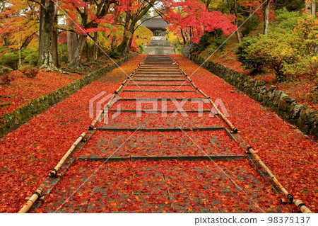 Anshu Inariyama-cho, Yamashina Ward, Kyoto City, Kyoto Prefecture Autumn leaves and maples on the steps of the approach to Gohozan Ankoku-in Izumo-ji Temple, also known as Bishamondo Monzeki 98375137