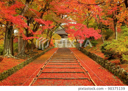 Anshu Inariyama-cho, Yamashina Ward, Kyoto City, Kyoto Prefecture Autumn leaves and maples on the steps of the approach to Gohozan Ankoku-in Izumo-ji Temple, also known as Bishamondo Monzeki 98375139