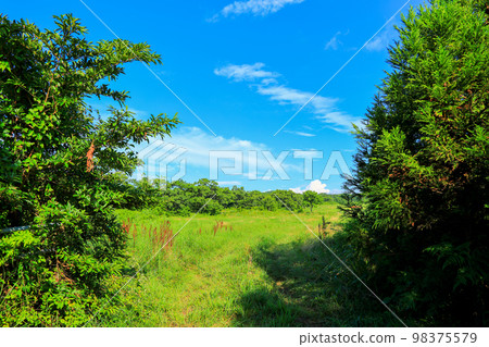Jeju Rural Landscape, Upbam Oreum, Rural, Ecology, Eco-friendly, Field, Lake, Wetland, 98375579
