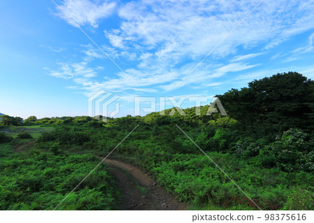 Jeju Rural Landscape, Upbam Oreum, Rural, Ecology, Eco-friendly, Field, Lake, Wetland, 98375616