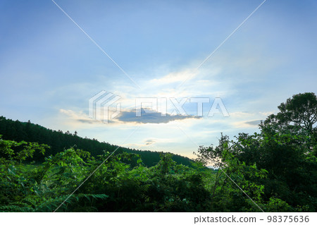Jeju Rural Landscape, Upbam Oreum, Rural, Ecology, Eco-friendly, Field, Lake, Wetland, 98375636