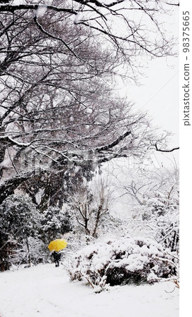 Smartphone wallpaper A corner on a snowy road Chasing the missing mother 98375665