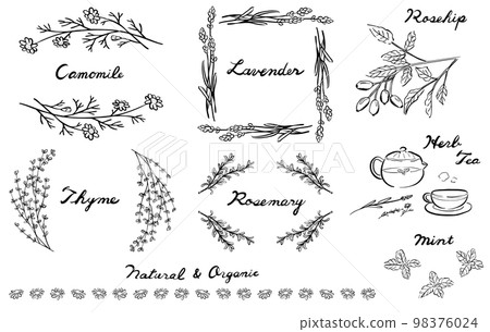 Herb illustration and frame 1 color Herb illustration and frame 1 color 98376024