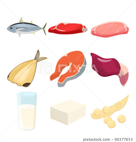含有蛋白質的食物的矢量圖解。 含有蛋白質的食物的矢量圖解。 98377653