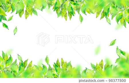 Fresh green of early summer background material Fresh green of early summer background material 98377800