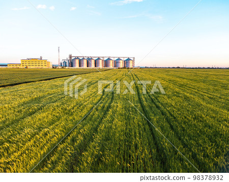 Grain elevator. Metal grain elevator in agricultural zone. Agriculture storage for harvest. Grain silos on green nature background. Exterior of agricultural factory. Sunset warm light. Nobody. 98378932