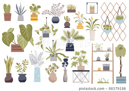 House plants isolated elements set. Bundle of domestic potted houseplant and blooming flowers, shelves with pots, hanging plants and other. Creator kit for vector illustration in flat cartoon design 98379186