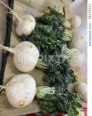 櫻島蘿蔔 櫻島蘿蔔 98379357