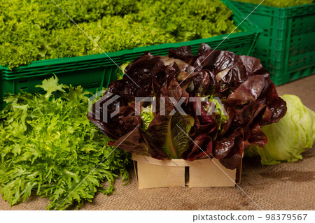 A pile of lettuce of different varieties, lie in bunches on the table and in boxes 98379567