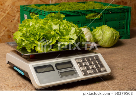 Shop selling lettuce, scales with lettuce in the foreground and box with lettuce in the background 98379568