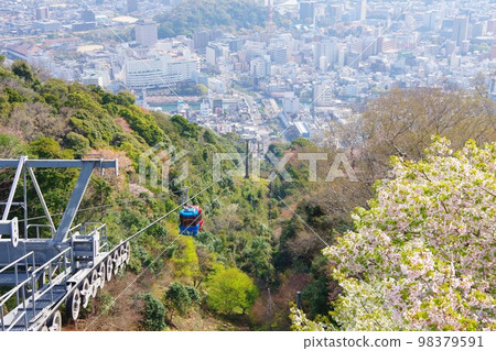 德島市 從眉山山頂看櫻花的市景 98379591
