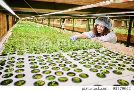 Joyful woman leaning on shelving and smiling while looking at green potted plants. Female gardener wearing sterile gloves and disposable cap while working in greenhouse. Joyful woman leaning on shelving and smiling while looking at green potted plants. Female gardener wearing sterile gloves and disposable cap while working in greenhouse. 98379662