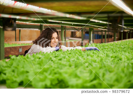 Woman controlling plant growth in greenhouse. Joyful female gardener in sterile gloves smiling while leaning on shelving with green plants. Woman controlling plant growth in greenhouse. Joyful female gardener in sterile gloves smiling while leaning on shelving with green plants. 98379672