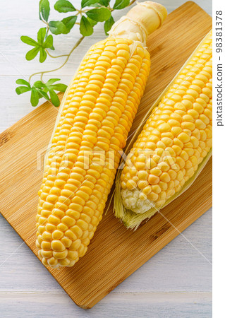 Corn 98381378